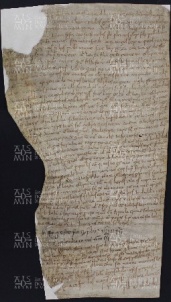 45 B.13.XLVr, Acquisto fatto da Ingone vescovo di alcune terre vendutegli da Stefano prete ed alcuni altri, Cittanova,1027 8